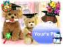 Ecard greeting 12