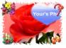 Ecard greeting 1