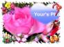Ecard greeting 2
