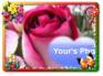 Ecard greeting 5