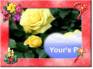 Ecard greeting 9
