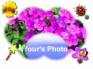 Ecard greeting 1