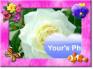 Ecard greeting 10