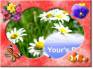 Ecard greeting 14