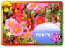 Ecard greeting 3
