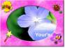 Ecard greeting 6