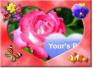 Ecard greeting 8