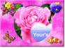 Ecard greeting 9