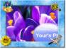 Ecard greeting 10