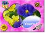 Ecard greeting 12