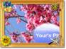 Ecard greeting 18