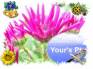 Ecard greeting 2