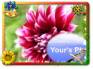 Ecard greeting 5