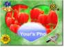 Ecard greeting 8