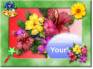 Ecard greeting 11