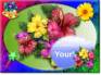 Ecard greeting 13