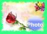 Ecard greeting 12