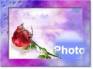Ecard greeting 4