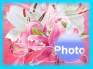 Ecard greeting 10