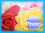 Ecard greeting 2
