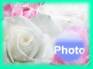 Ecard greeting 3