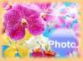 Ecard greeting 5