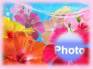Ecard greeting 6