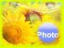 Ecard greeting 7