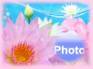 Ecard greeting 8
