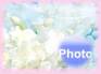 Ecard greeting 9