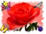 Ecard greeting 1