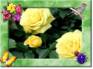 Ecard greeting 6