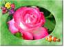 Ecard greeting 8