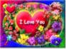 Ecard greeting 15