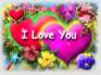 Ecard greeting 4