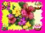 Ecard greeting 15