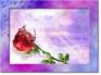 Ecard greeting 4