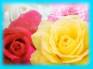 Ecard greeting 2