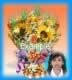 Flower bouquet 31