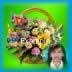Flower basket 11
