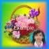 Flower basket 13
