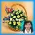 Flower basket 25