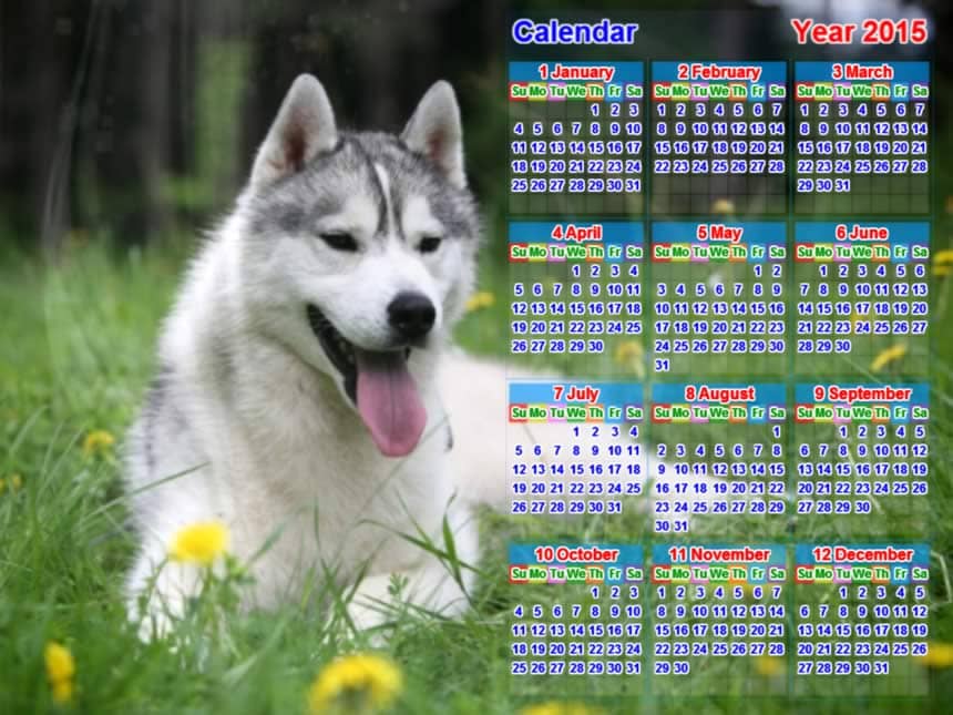 calendar picture