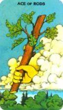 tarot card deck morgan greerTHE ACE OF WANDS