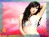 Click Download Asia star Wallpaper7