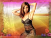Click Download Hollywood star Wallpaper16